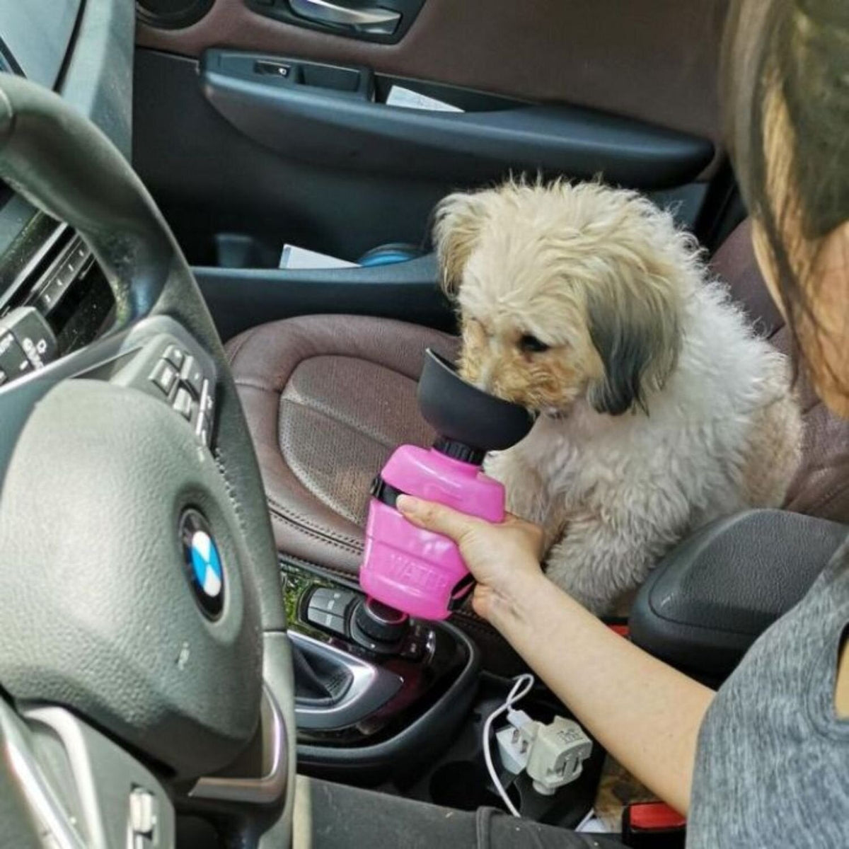 Portable Dog Water Bottle