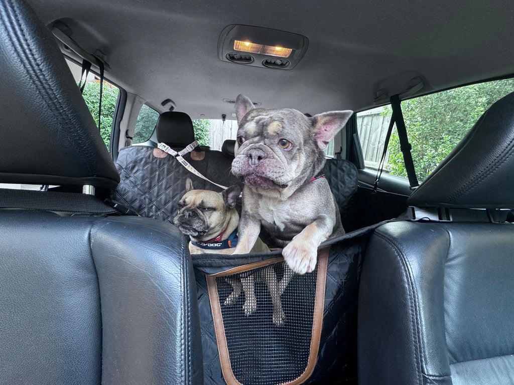 Hard-Base Dog Car Seat Protector