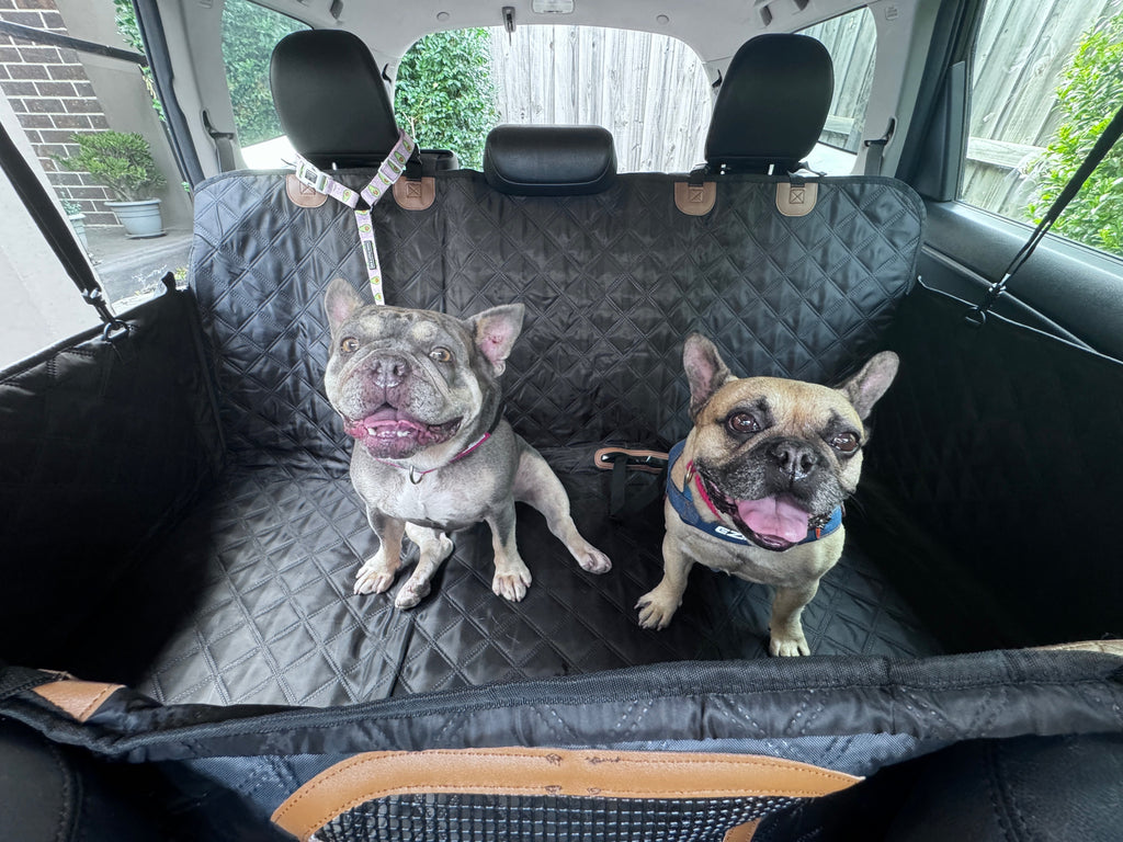 Hard-Base Dog Car Seat Protector