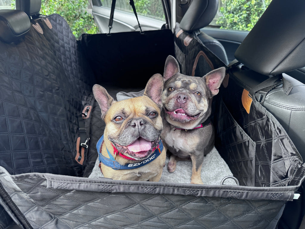 Hard-Base Dog Car Seat Protector