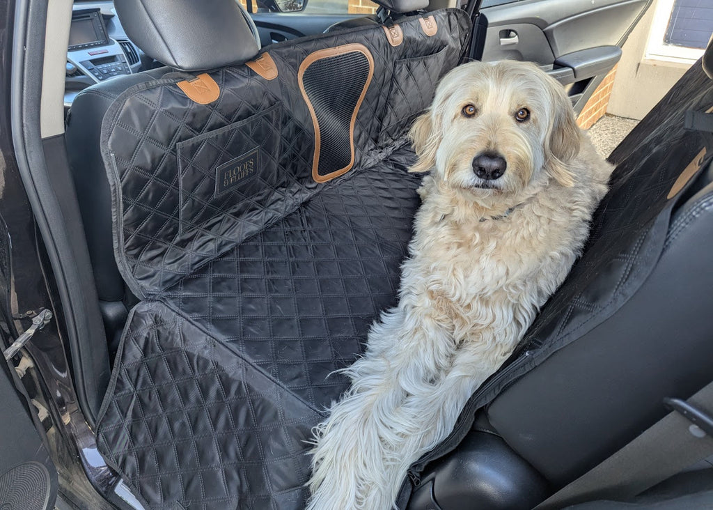 Hard-Base Dog Car Seat Protector
