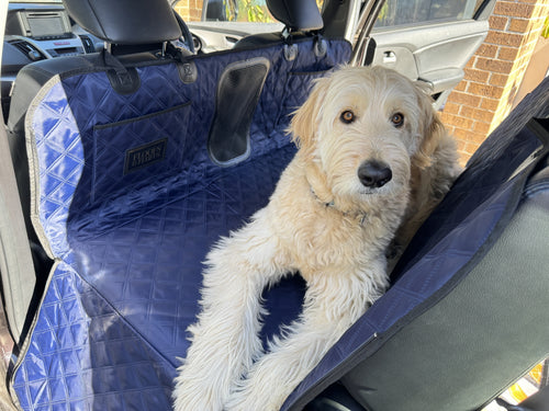 Hard-Base Dog Car Seat Protector